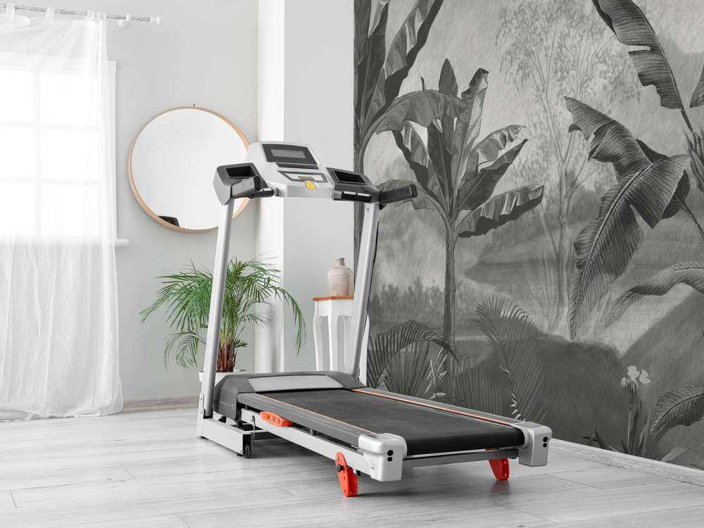 Banana trees in black and white