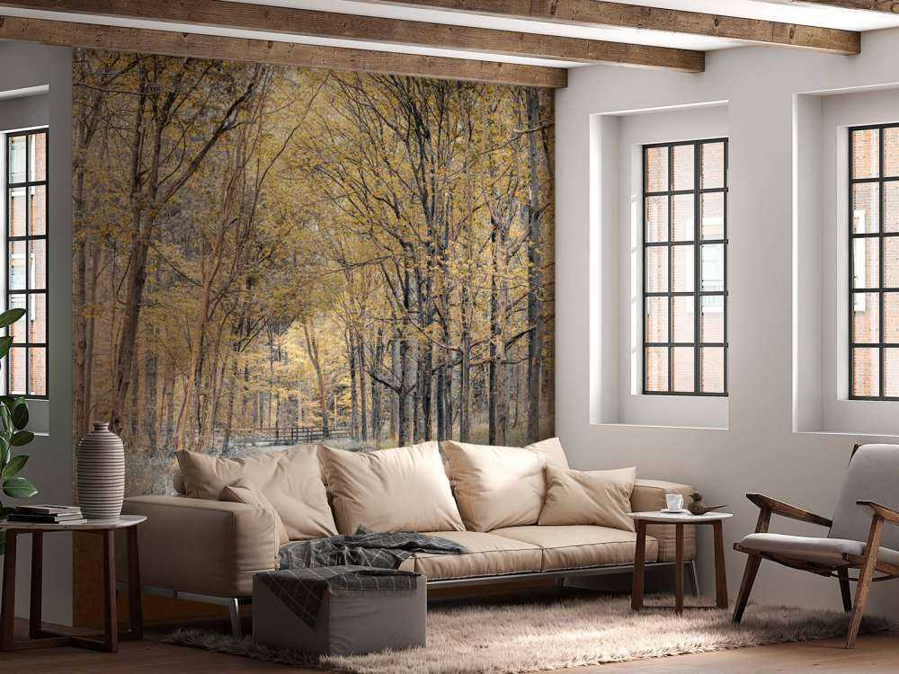 Forest road during autumn