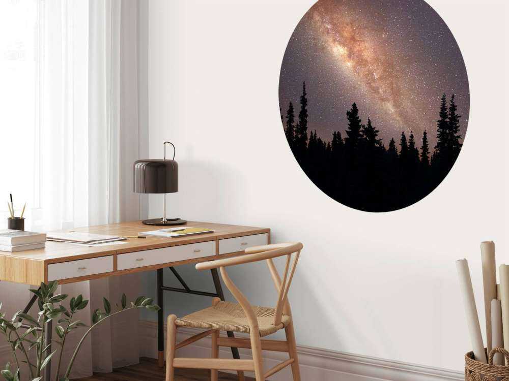 Milky way above silhouette of trees