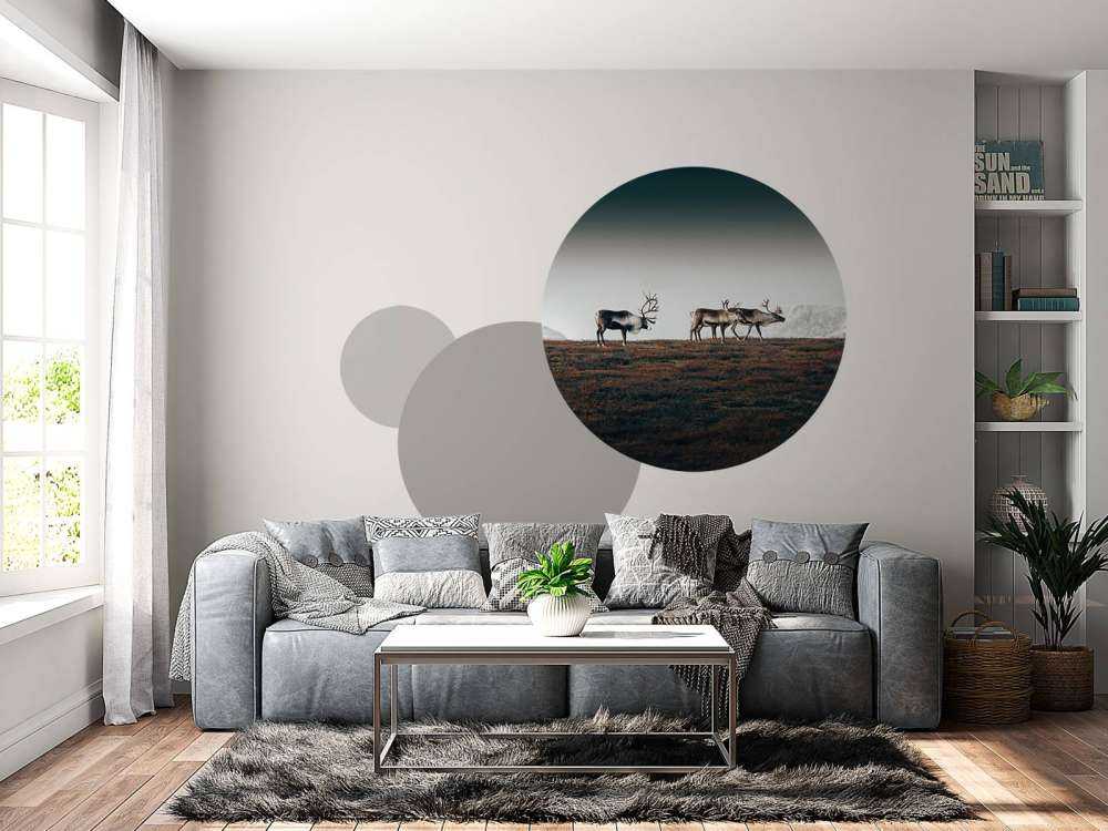 Group of reindeer in northern Europe