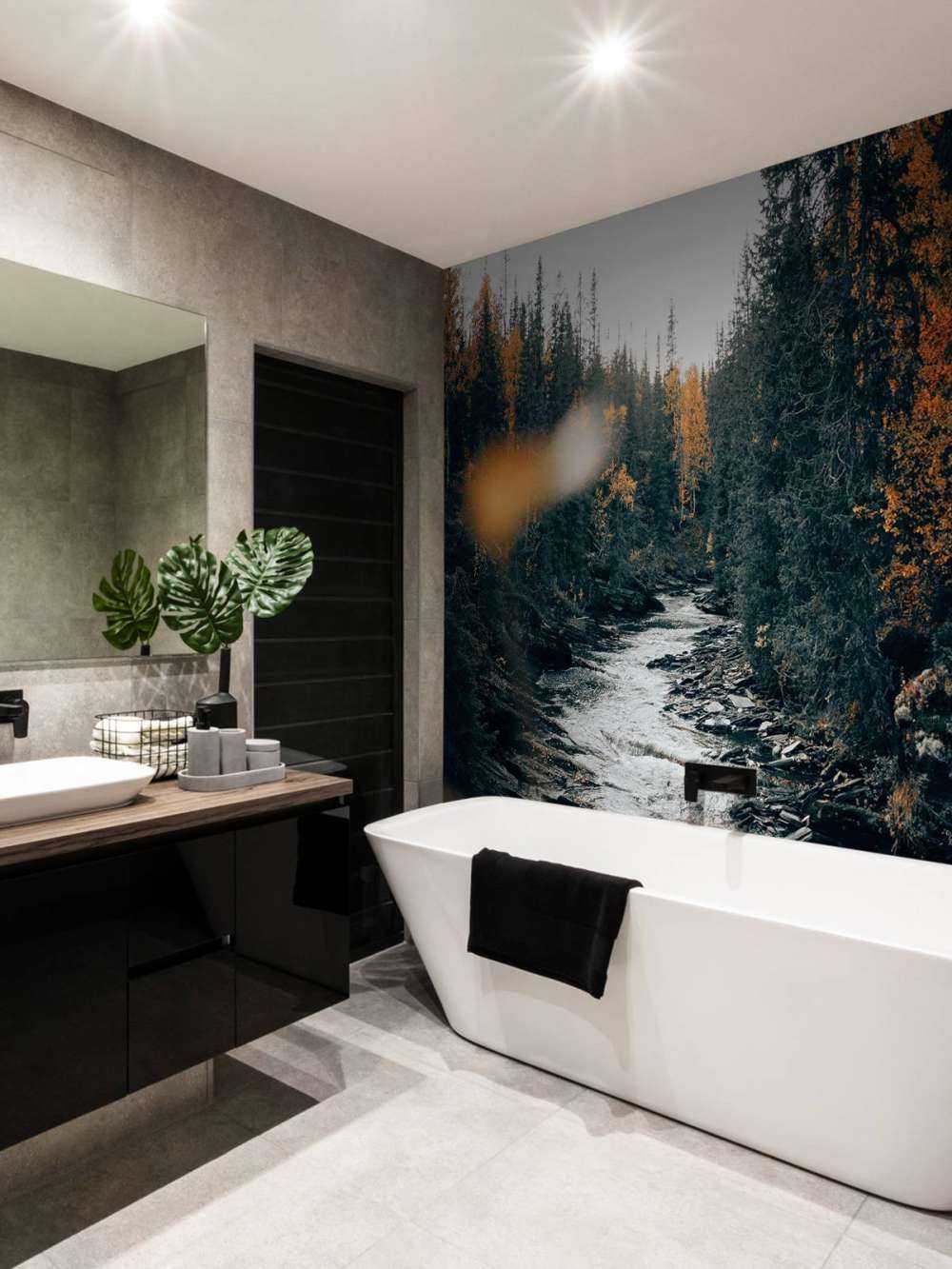 Enchanted autumn forest