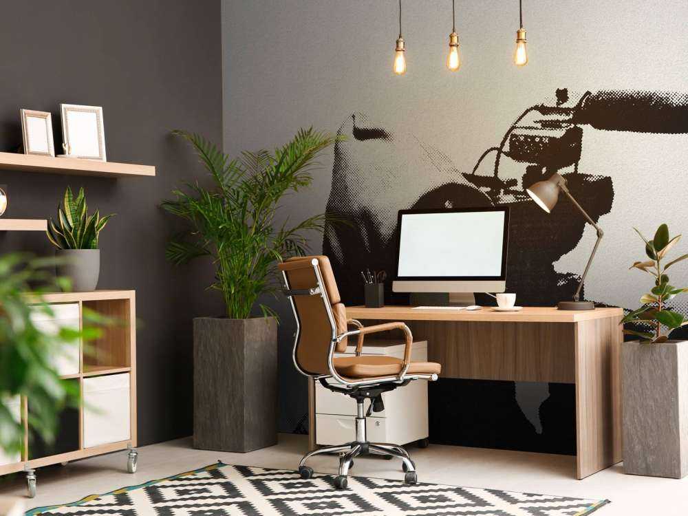 Banksy - ETTGS monkey, concrete