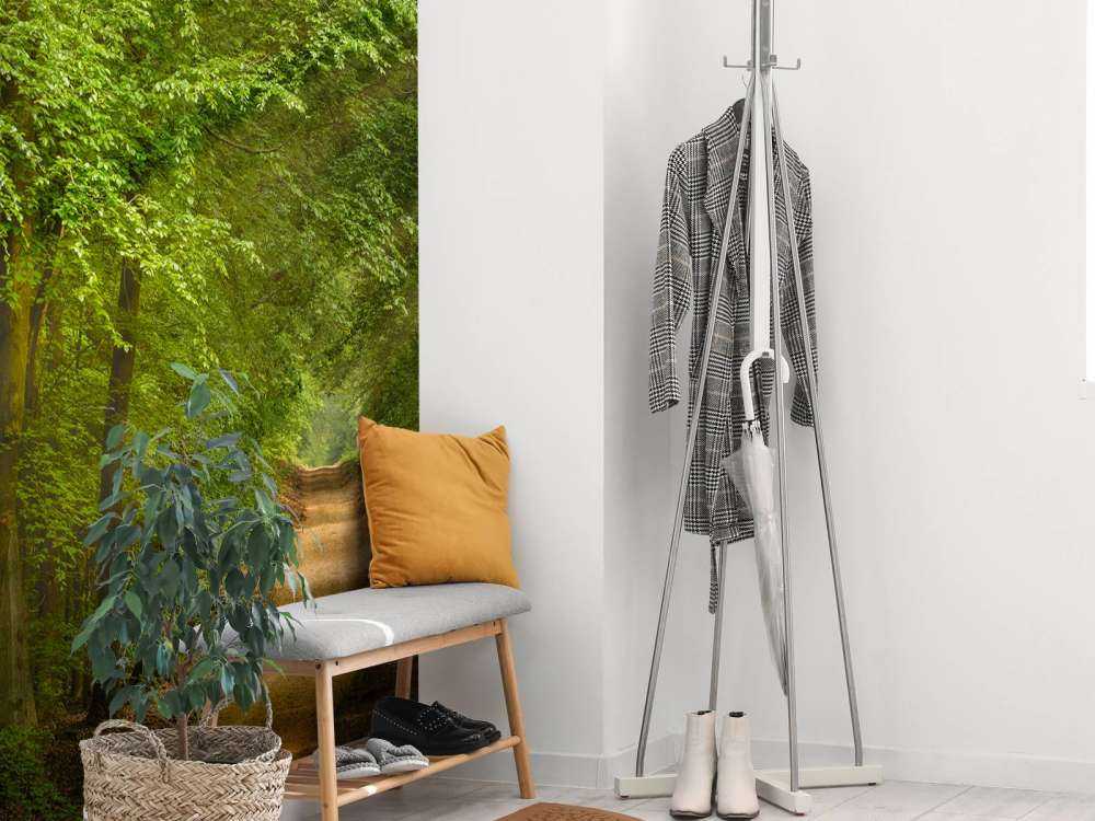 Toad in forest with sunbeams