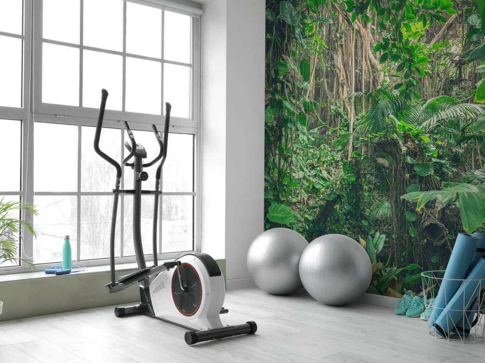 Branches in the rainforest