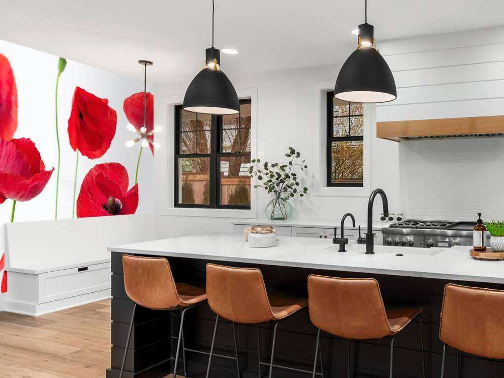 Poppies on white background