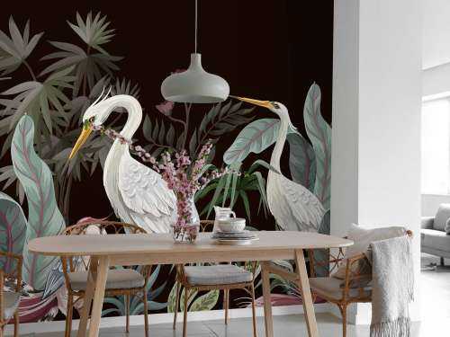 Sierlijke kraanvogels