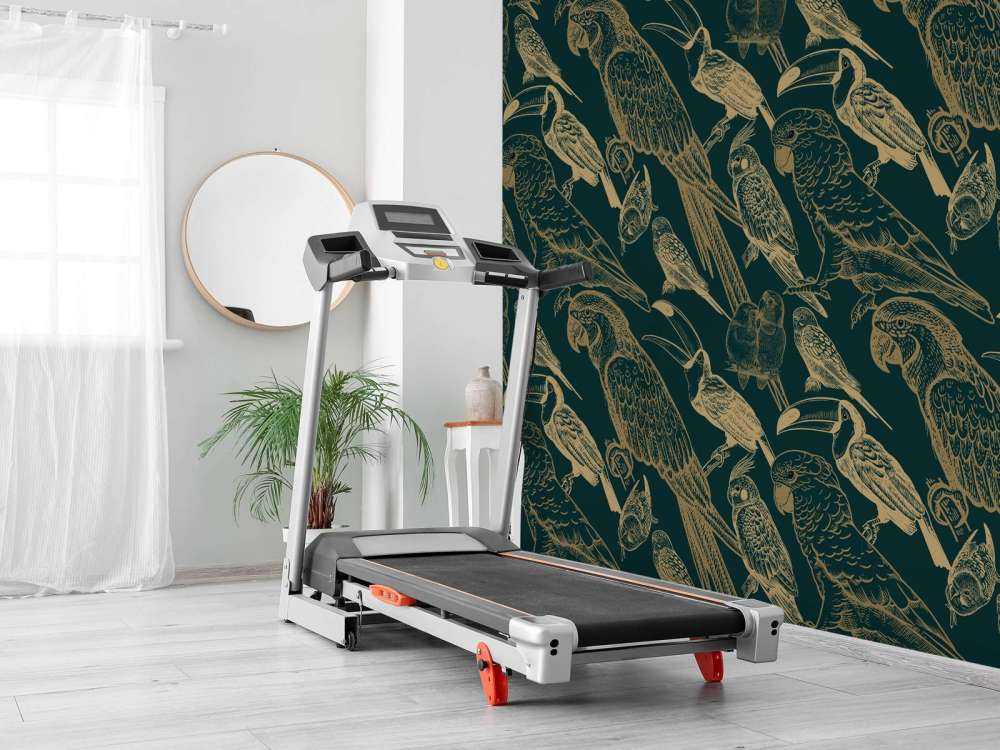 Parrot and Toucan pattern