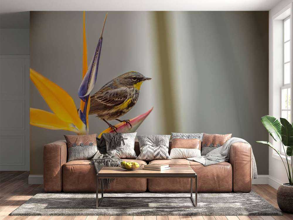 Paradise flower with bird