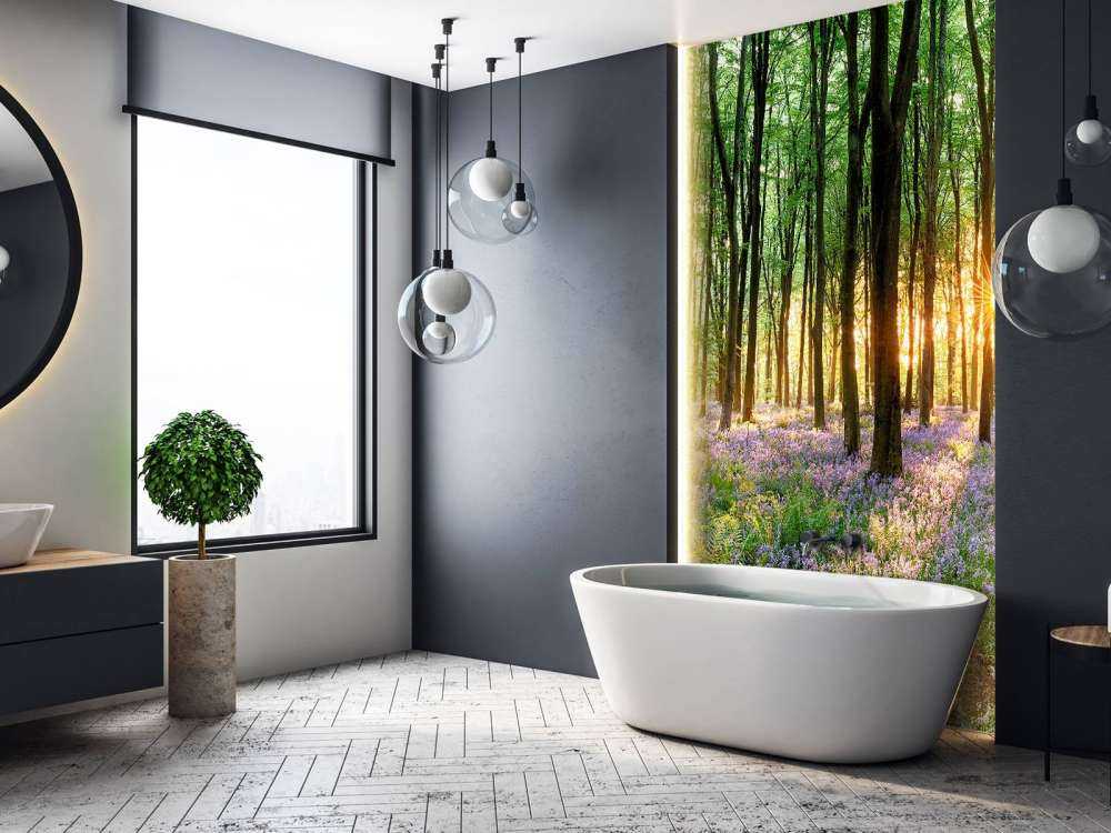 Forest path at sunrise