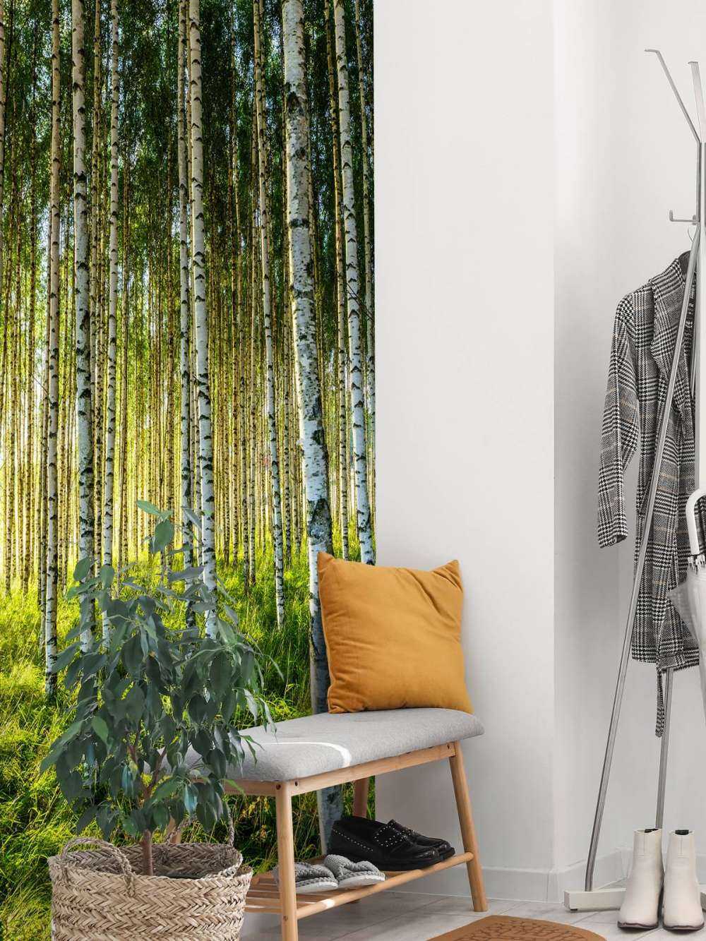 Summer birch forest