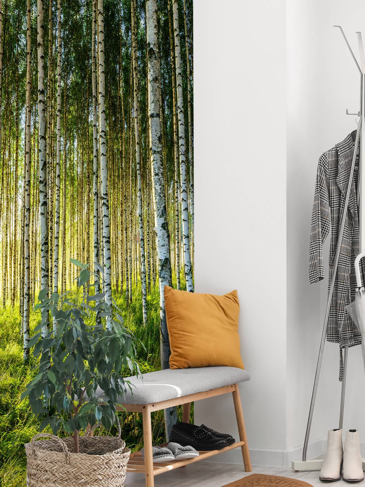 Summer birch forest