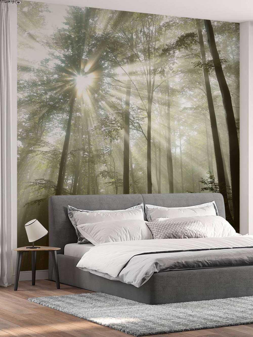 Forest in foggy weather