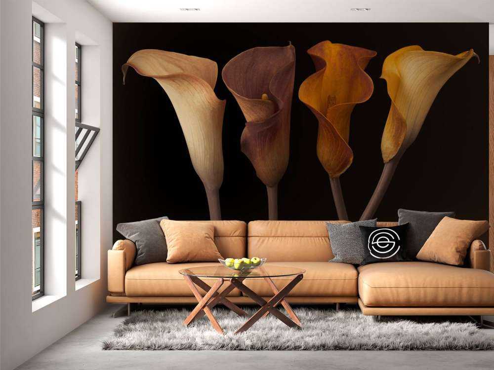 Calla Lilies