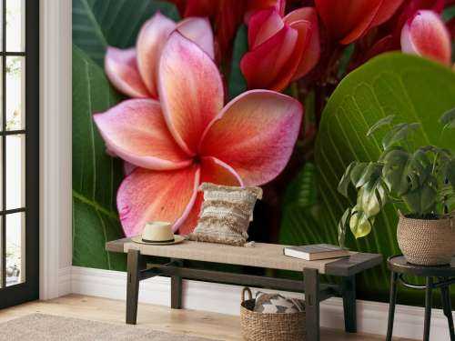 Tropical Flowers
