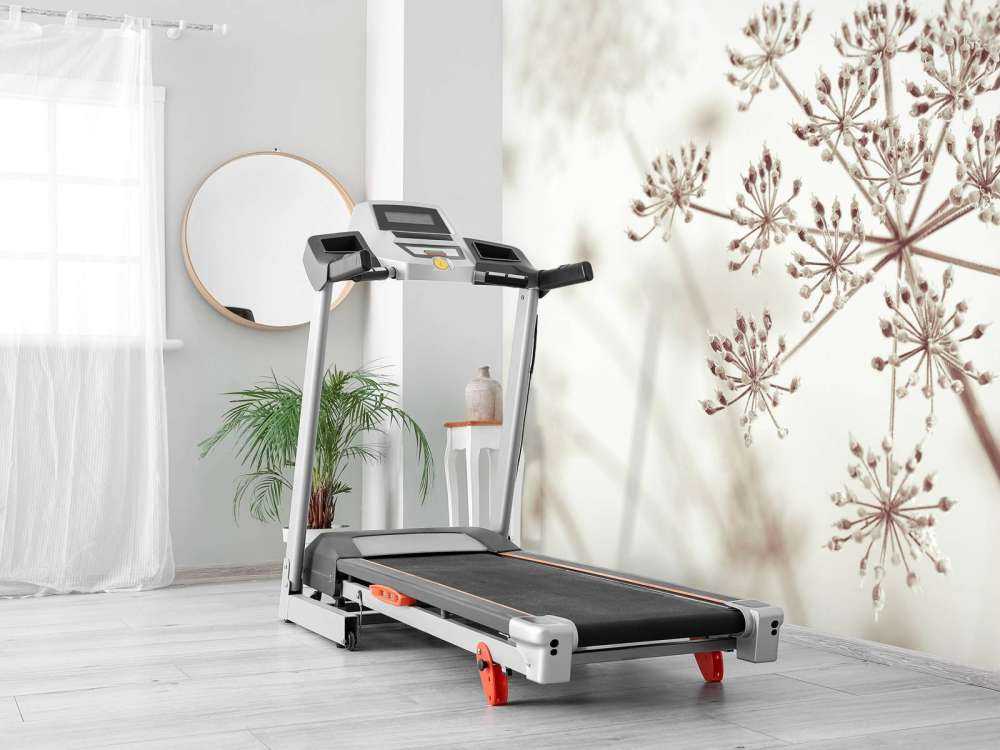 Close-up cow parsley