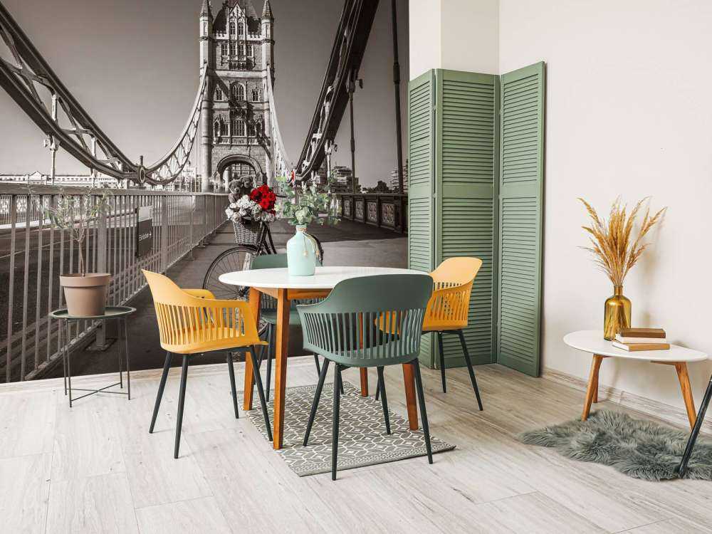 Puppies in a bicycle basket