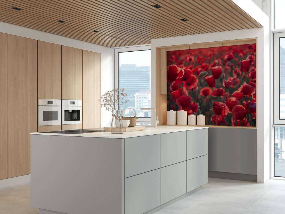 Poppies in dark style