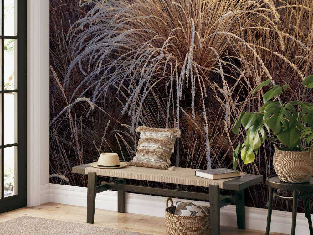 Grasses with hoarfrost