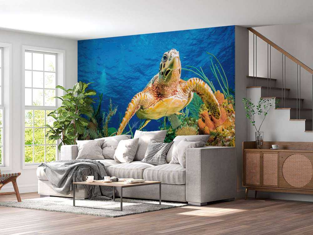 Hawksbill turtle swimming through Caribbean reef