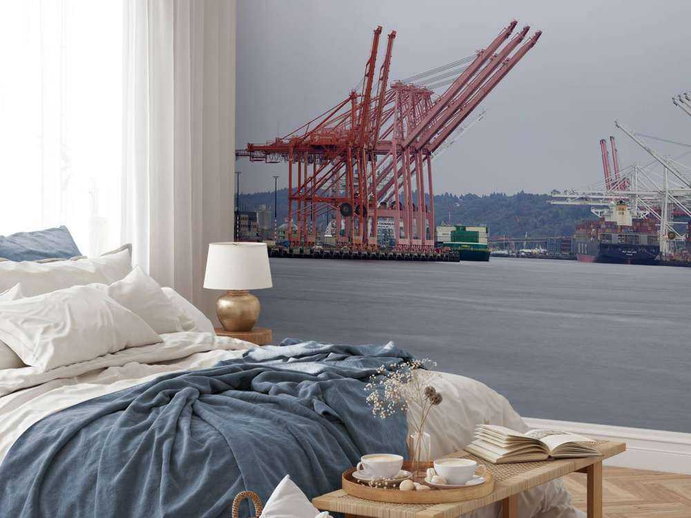 Hijskranen in de haven