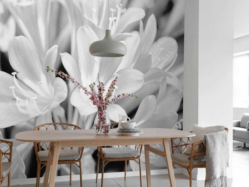 Flowers in bloom, black and white