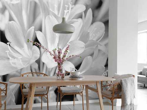 Flowers in bloom, black and white