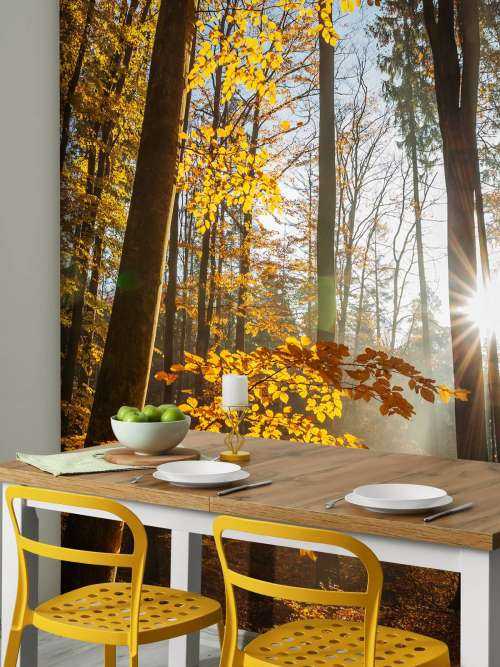 Autumn forest