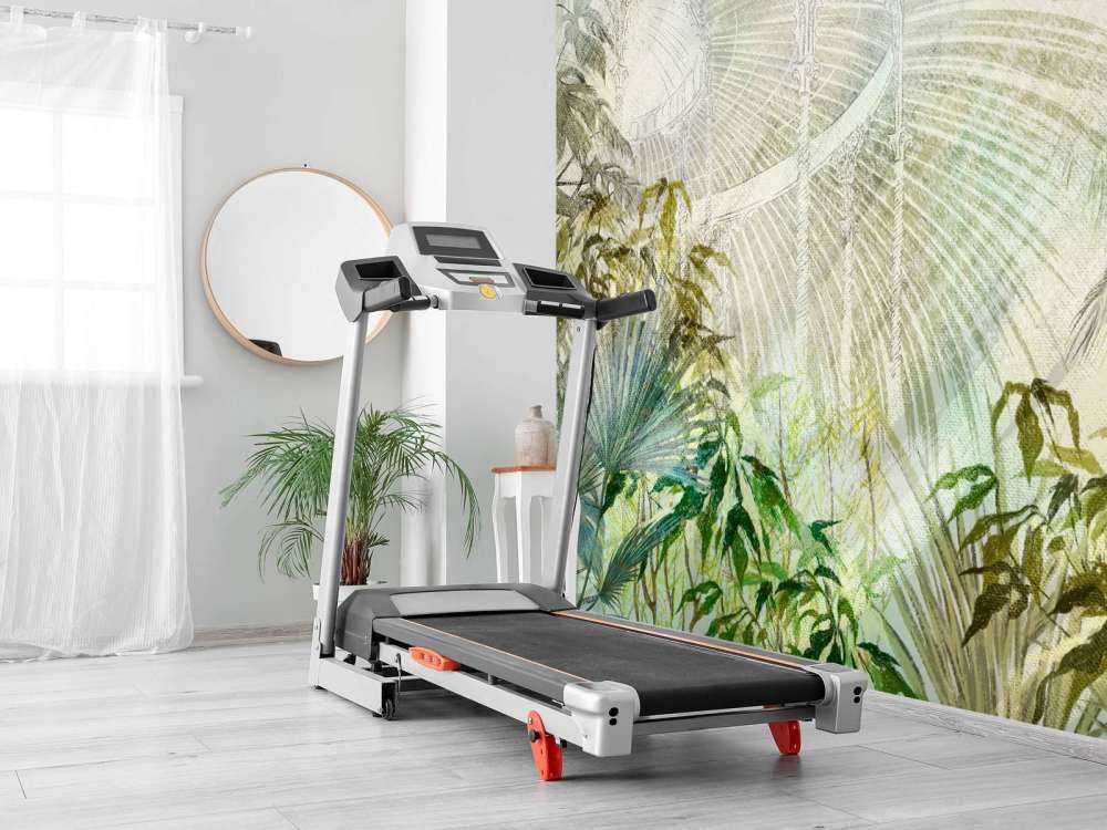 Greenhouse with tropical plants