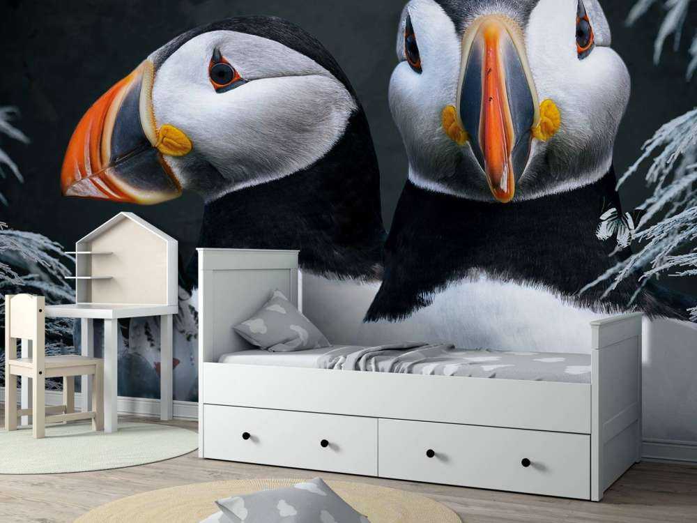 Atlantic Puffins