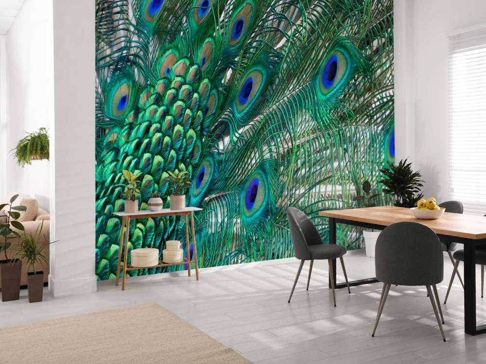 Colored plumage of a peacock