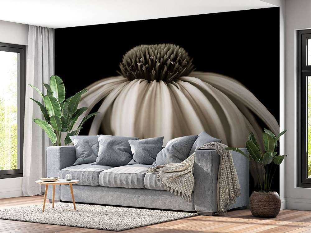 Cone flower close-up