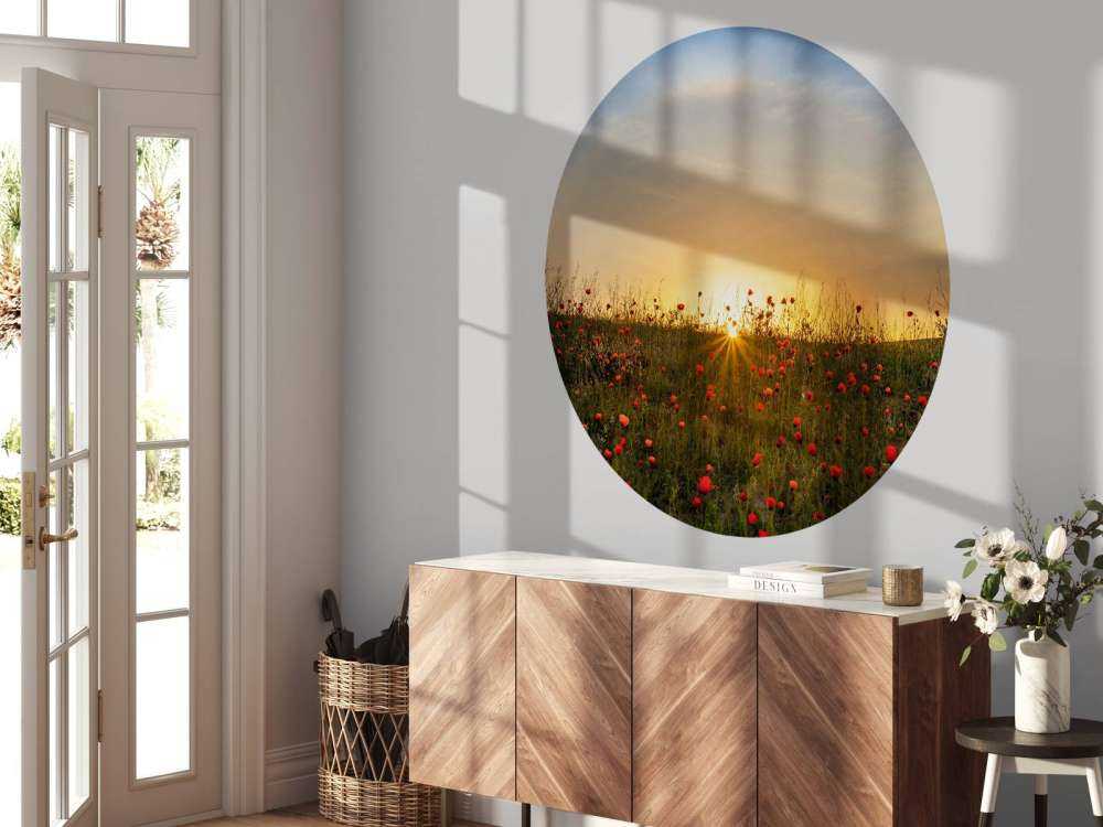 Red poppies and sunrise