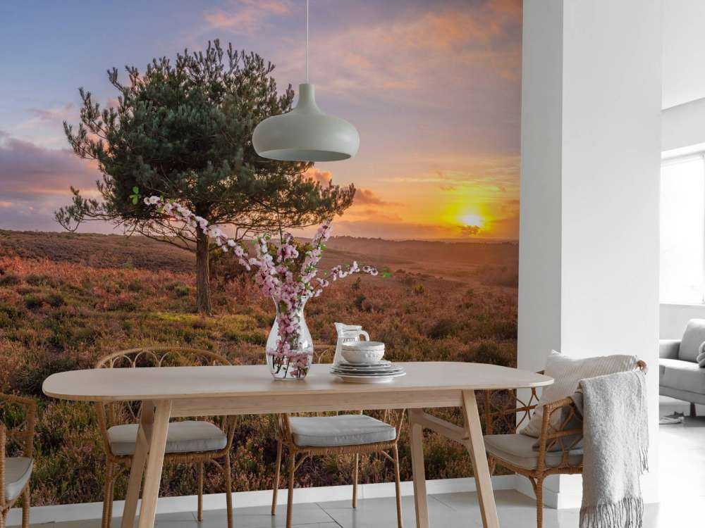 Sunset at a deserted area