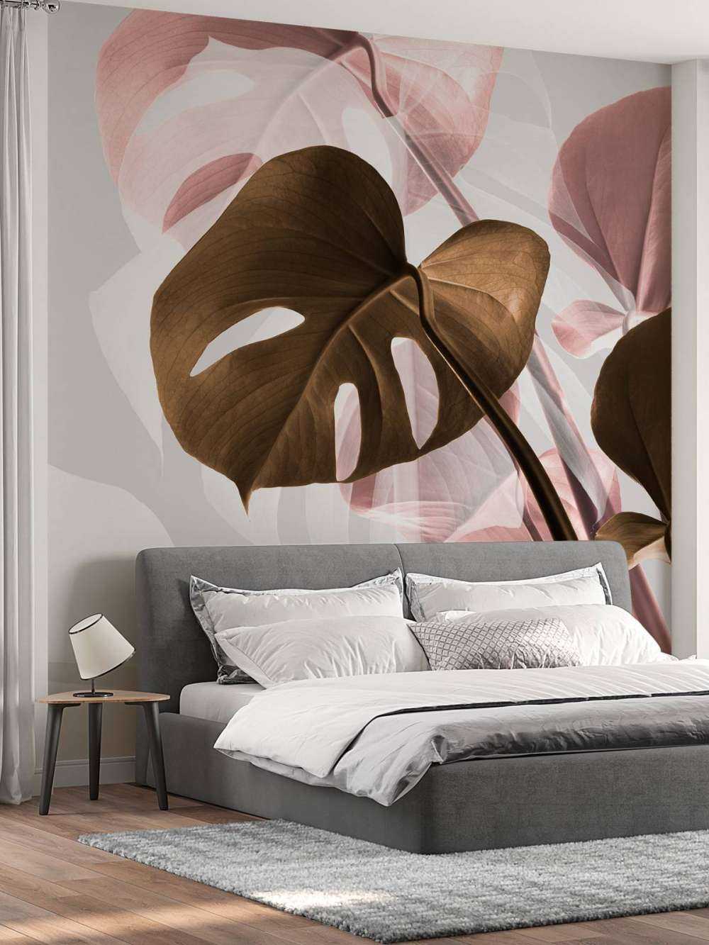 Monstera Creative 11