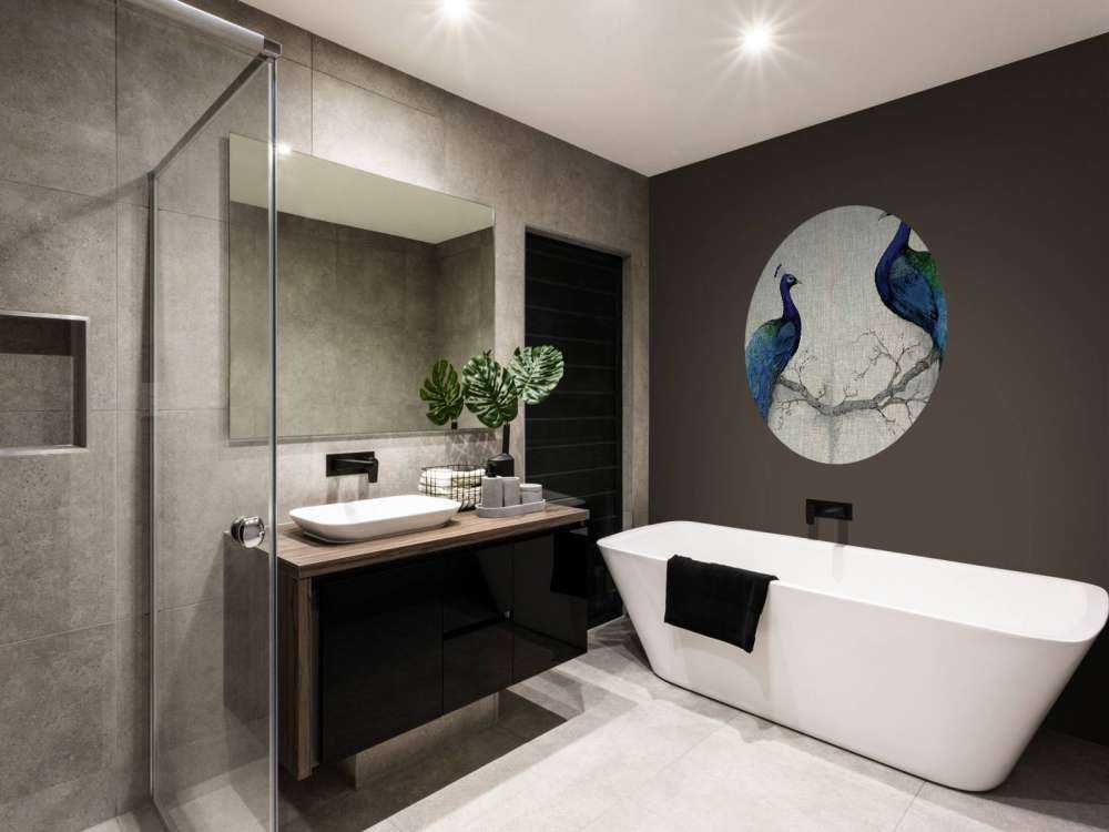 Symphony of Peacocks