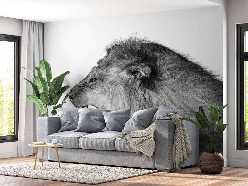 Roaring lion white