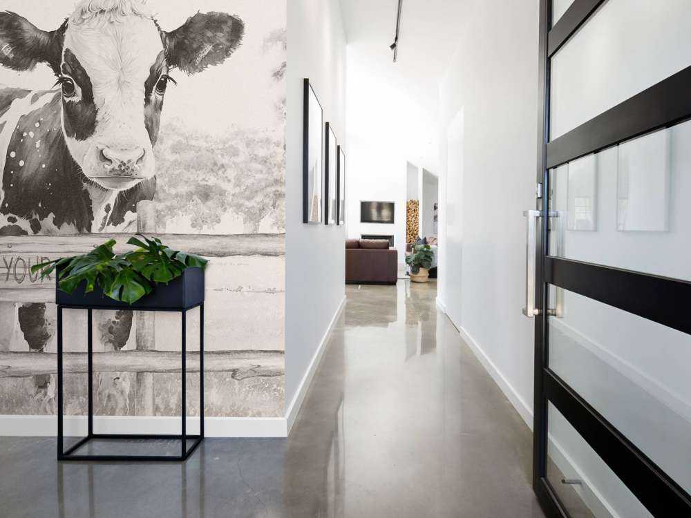 Baby cow in a field beige