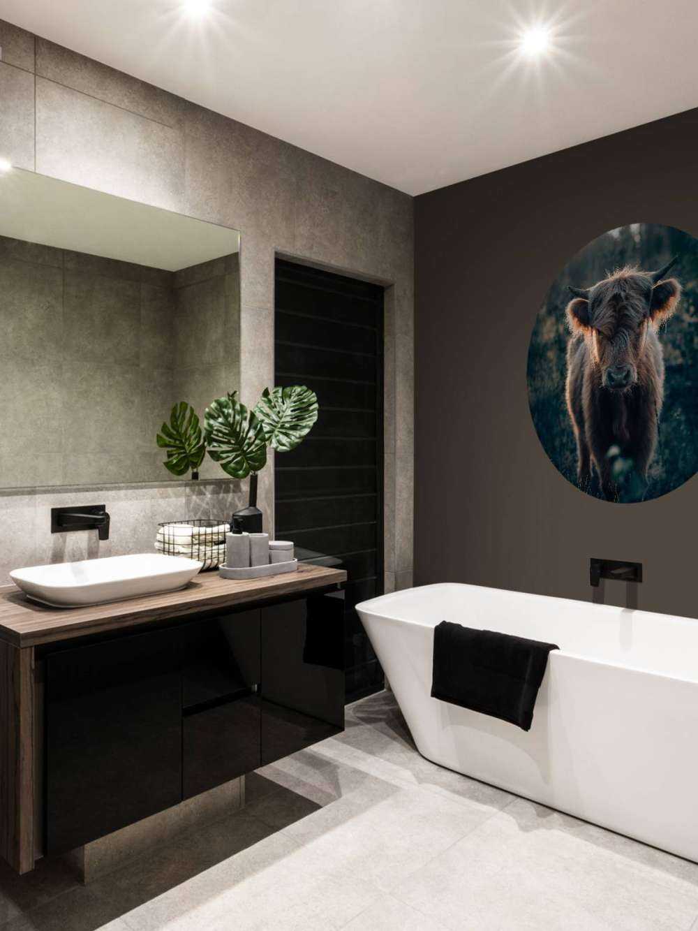 Young Scottish Highlander