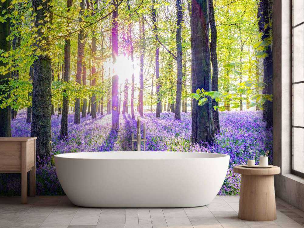 Colourful forest