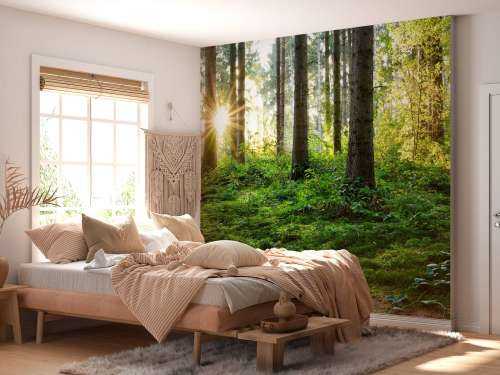 Forest panorama in spring
