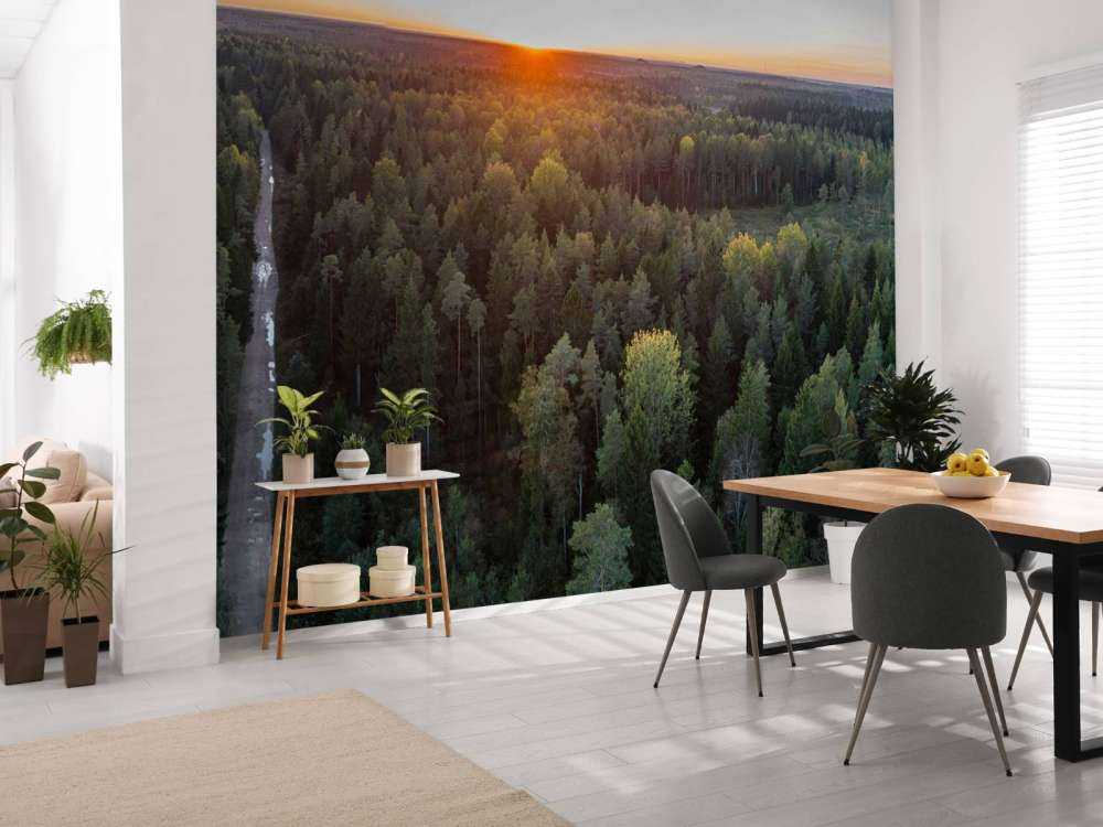 Aerial view of autumn trees