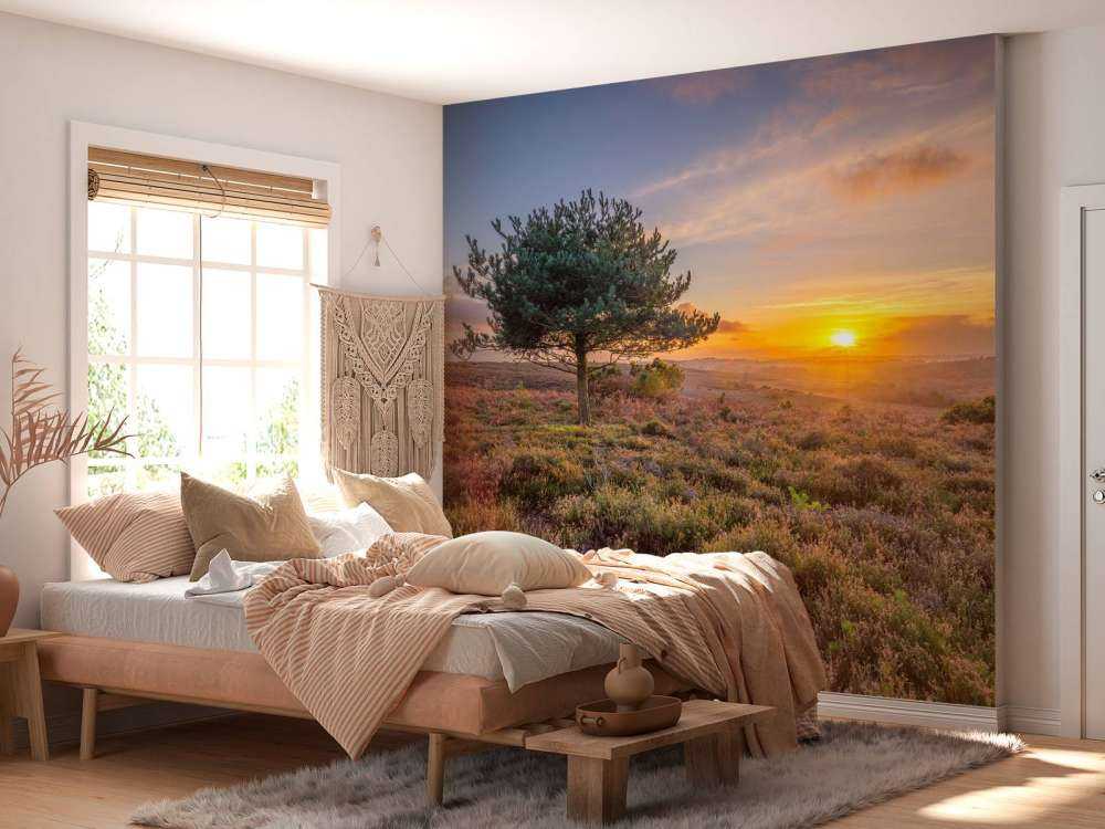 Sunset on the heath