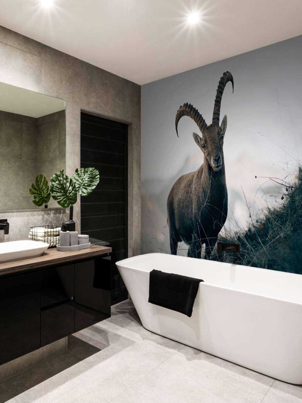 Capricorn in the mountains