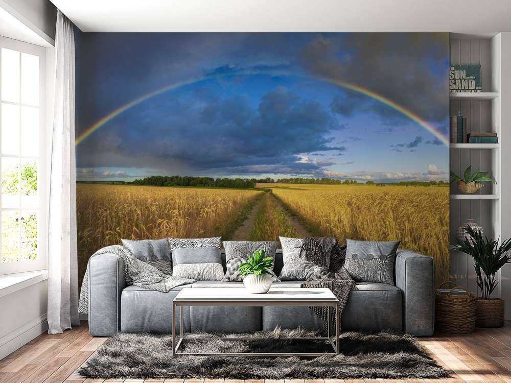 Rainbow over a wheat field