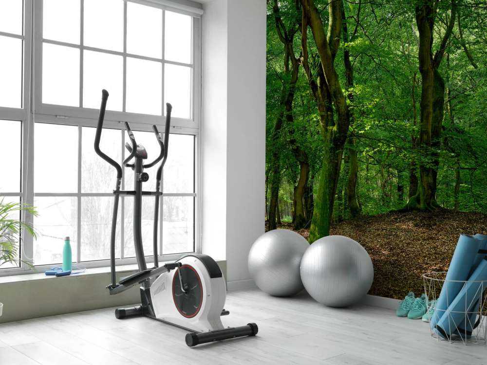 Trees with green leaves 