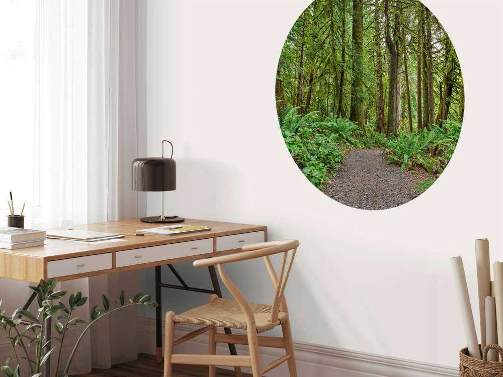 Path with stones through the forest 