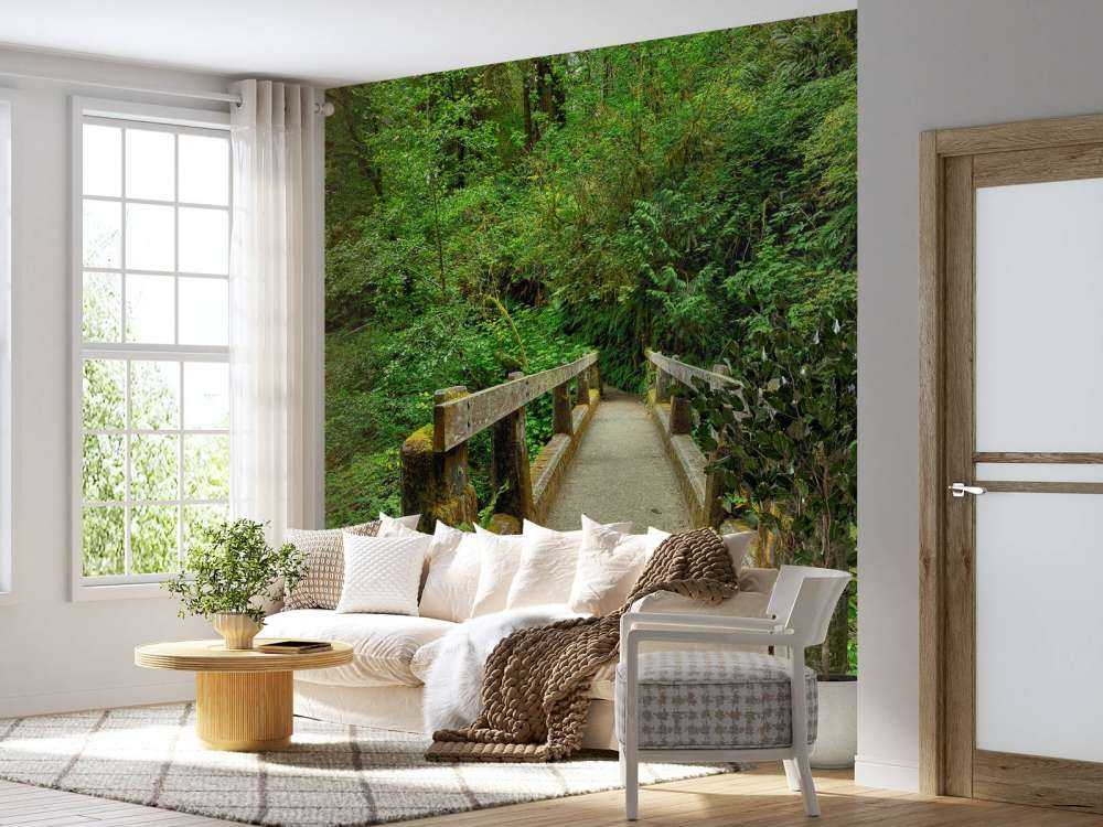 Bridge in the forest