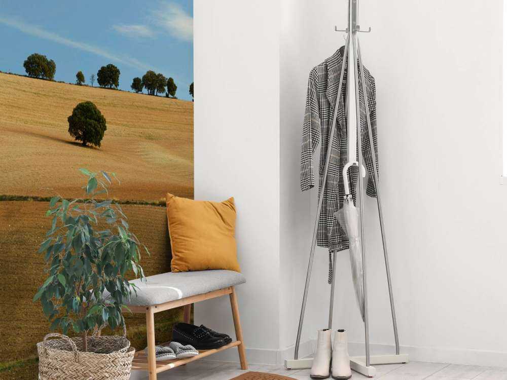 Trees in Spanish landscape