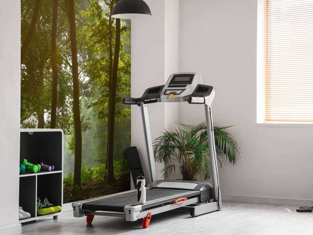 Forest in the morning sun