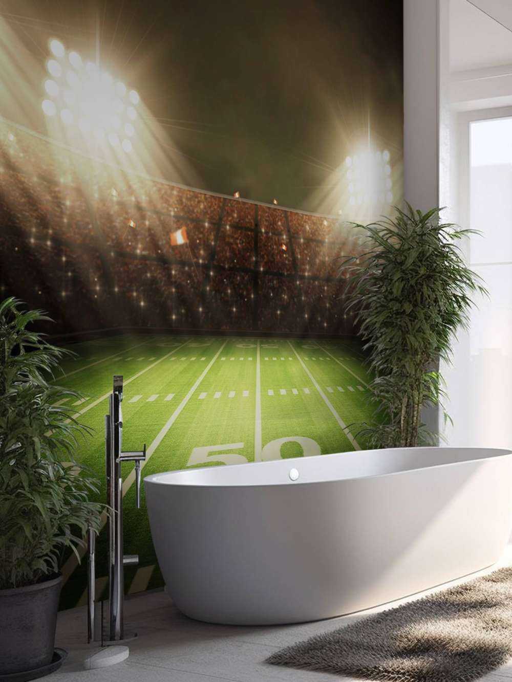 American football stadium